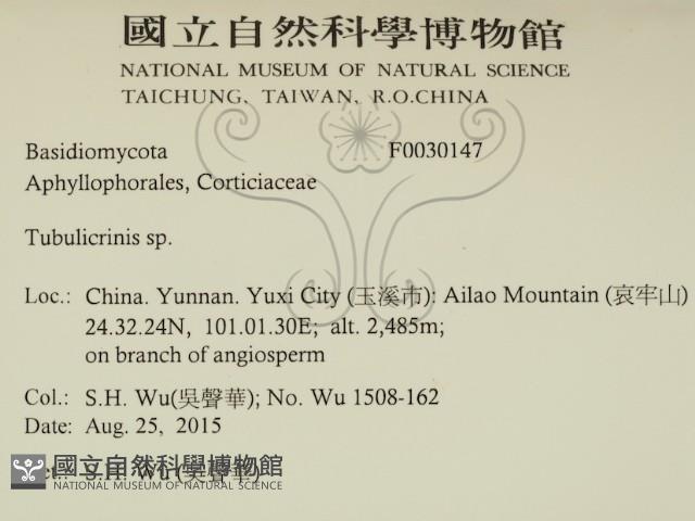 登錄號:F0030147藏品圖，第2張