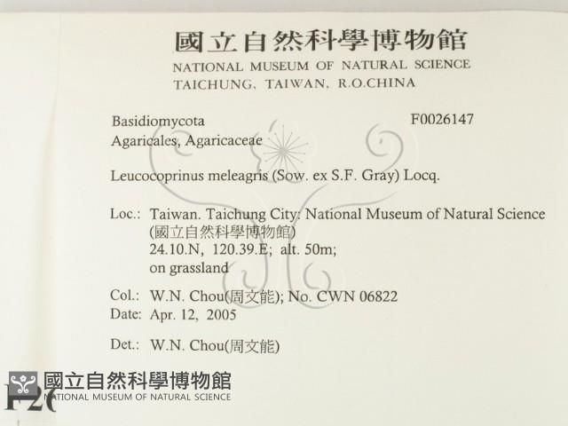登錄號:F0026147藏品圖，第2張