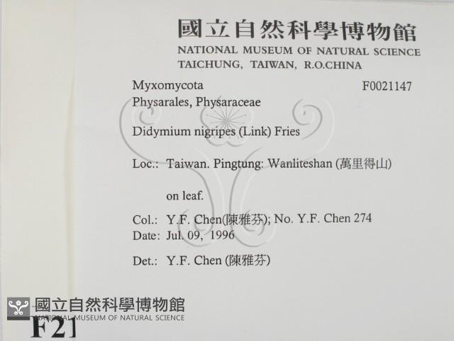 登錄號:F0021147藏品圖，第2張