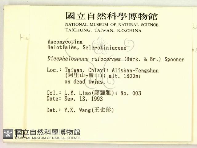 登錄號:F0001147藏品圖，第2張