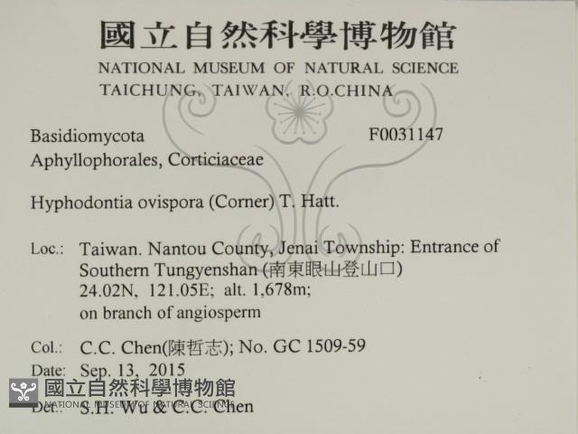 登錄號:F0031147藏品圖，第2張