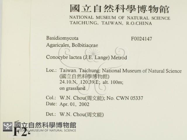 登錄號:F0024147藏品圖，第2張