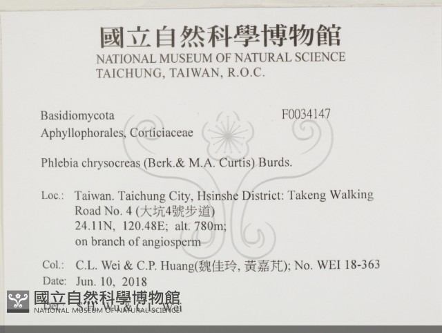登錄號:F0034147藏品圖，第2張