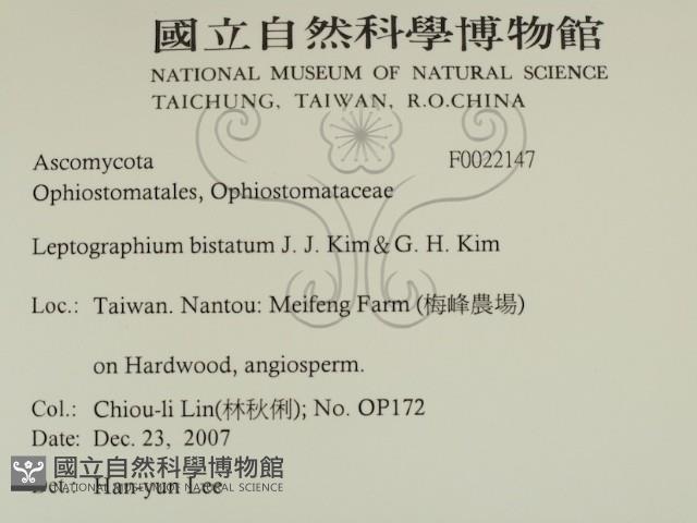 登錄號:F0022147藏品圖，第2張