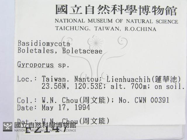 登錄號:F0002147藏品圖，第2張