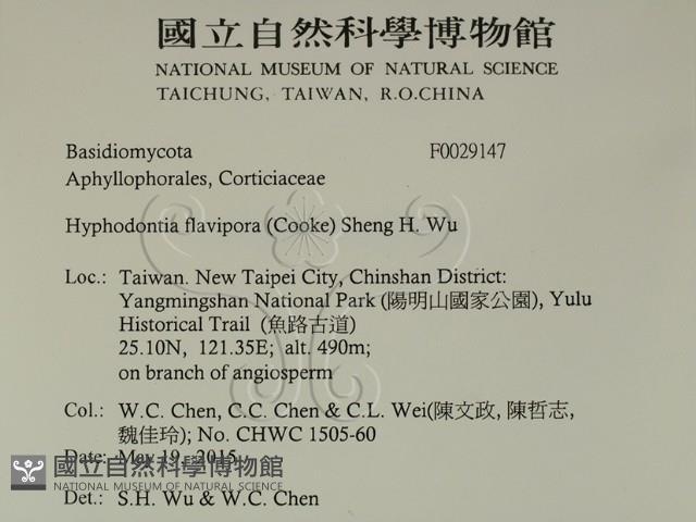 登錄號:F0029147藏品圖，第2張