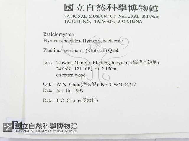 登錄號:F0013147藏品圖，第2張