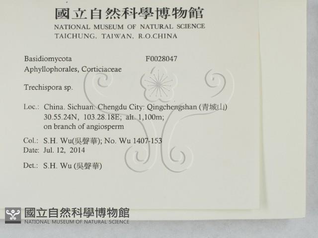 登錄號:F0028047藏品圖，第2張