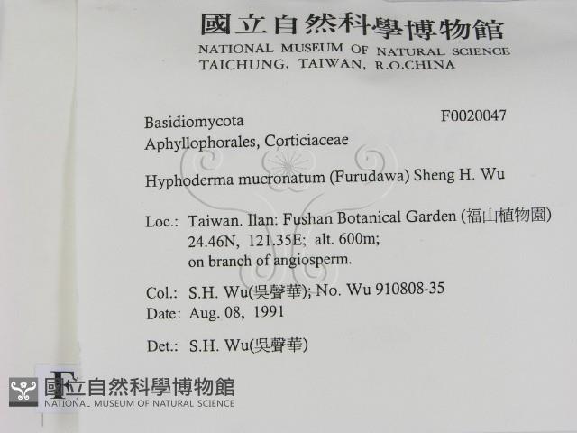 登錄號:F0020047藏品圖，第2張