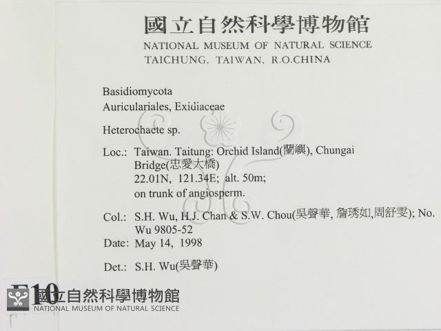 刺皮菌屬藏品圖，第2張