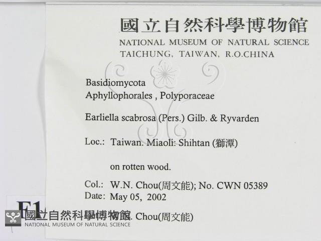 登錄號:F0016047藏品圖，第2張