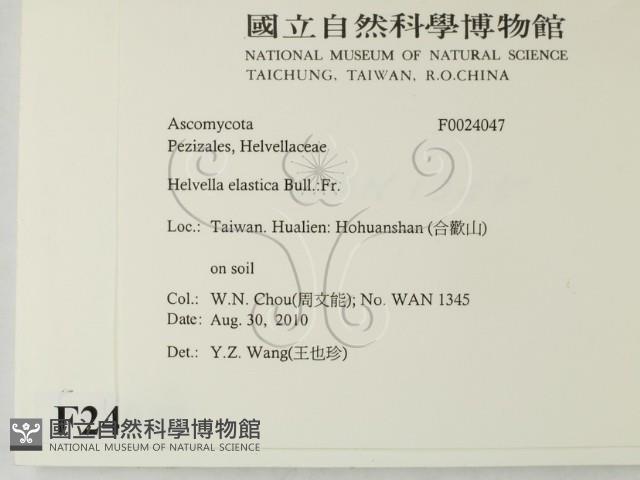 登錄號:F0024047藏品圖，第2張