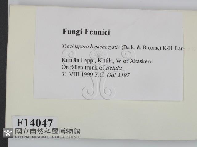館號:F0014047藏品圖，第2張