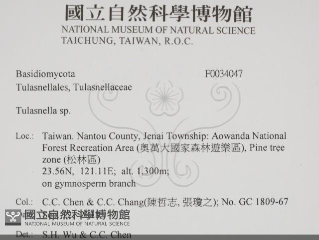 登錄號:F0034047藏品圖，第2張