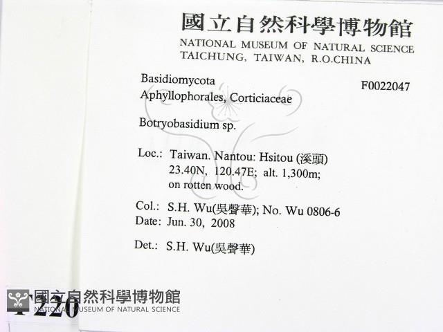 登錄號:F0022047藏品圖，第2張
