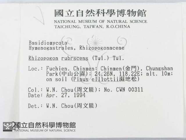 登錄號:F0002047藏品圖，第2張