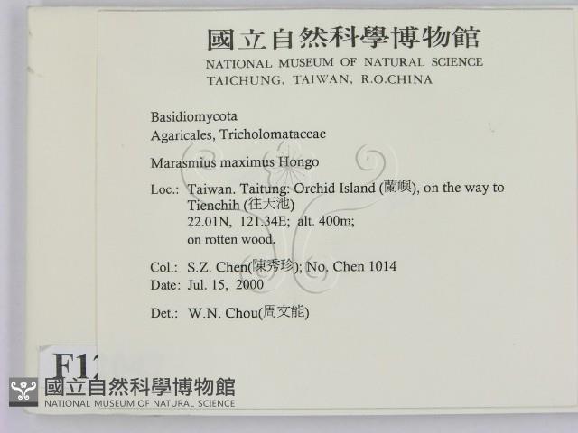 登錄號:F0012047藏品圖，第2張