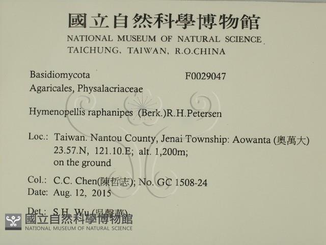 登錄號:F0029047藏品圖，第2張