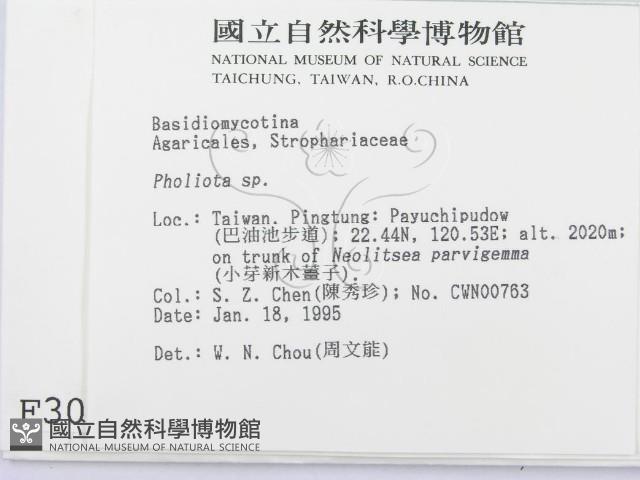 登錄號:F0003047藏品圖，第2張