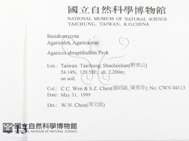 登錄號:F0013047藏品圖，第2張