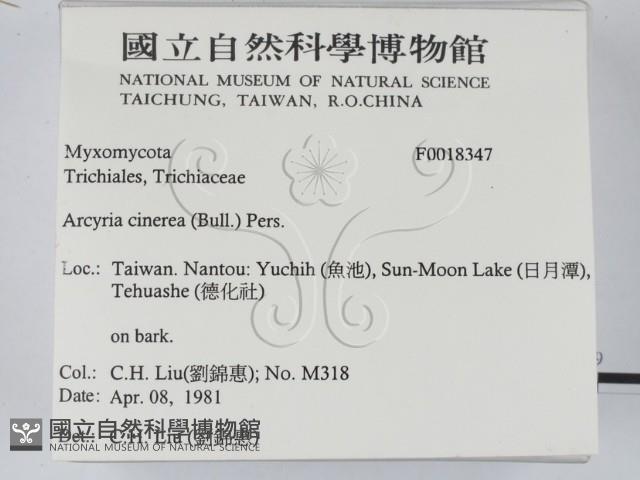 登錄號:F0018347藏品圖，第2張