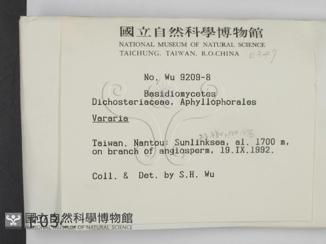 登錄號:F0000347藏品圖，第2張