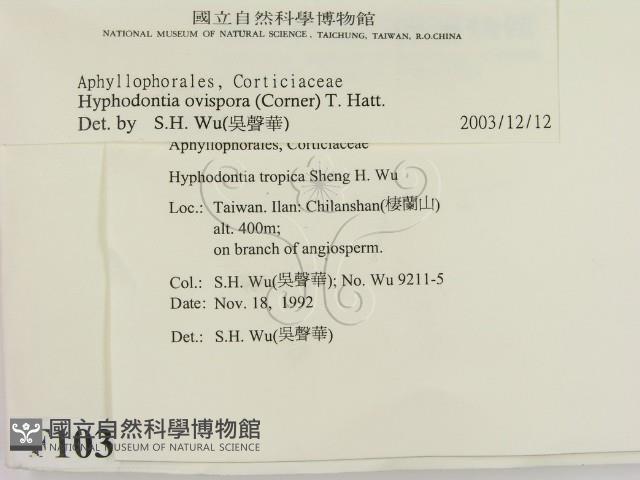 登錄號:F0010347藏品圖，第2張