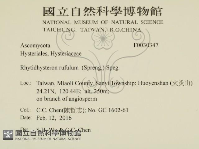 登錄號:F0030347藏品圖，第2張