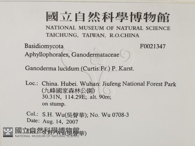 登錄號:F0021347藏品圖，第2張