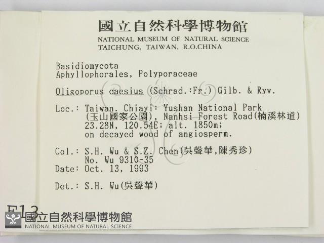 登錄號:F0001347藏品圖，第2張