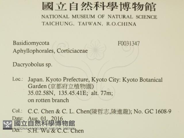 登錄號:F0031347藏品圖，第2張