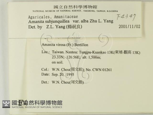 登錄號:F0004347藏品圖，第2張