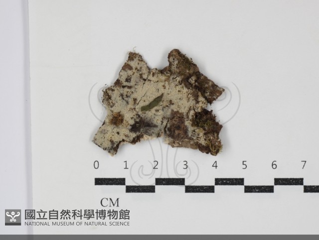 登錄號:F0034347藏品圖，第2張