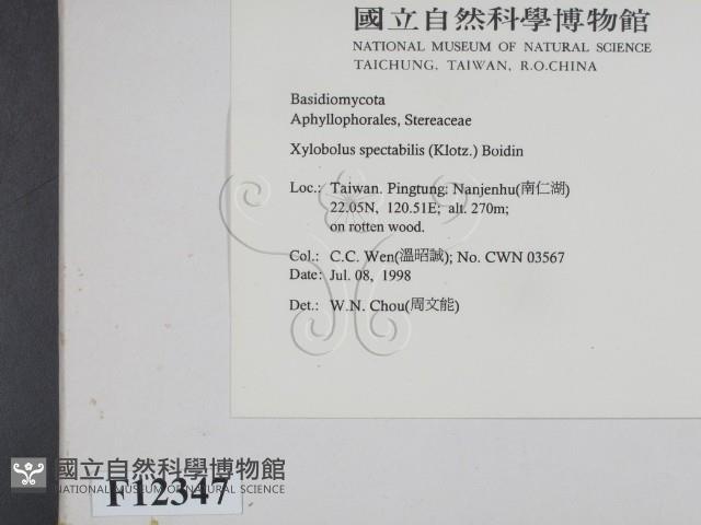 登錄號:F0012347藏品圖，第2張