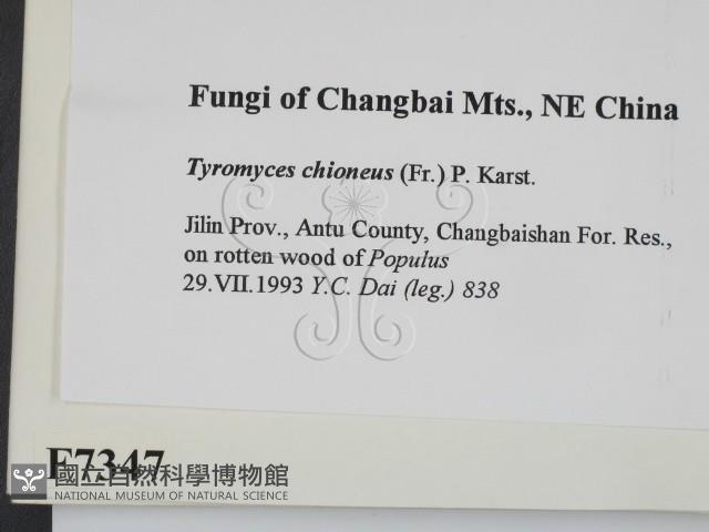 登錄號:F0007347藏品圖，第2張