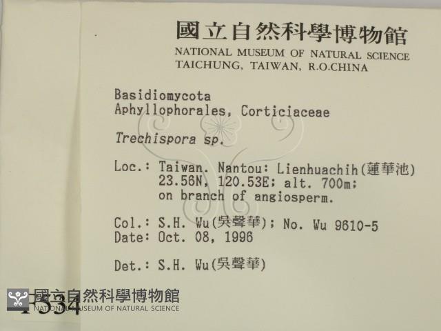 登錄號:F0005347藏品圖，第2張