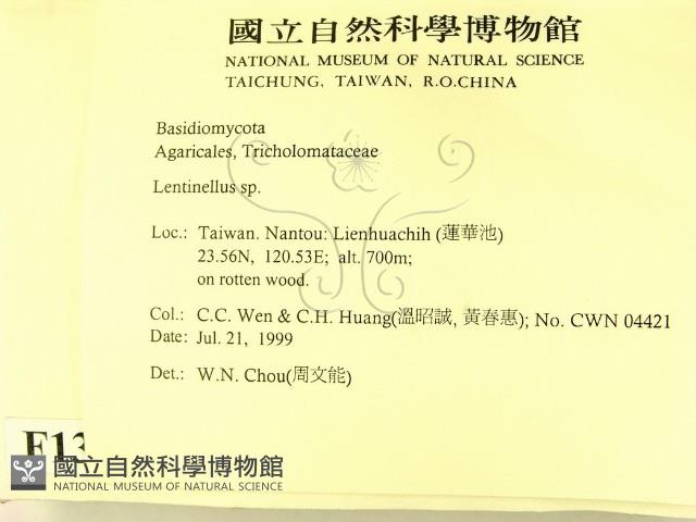 登錄號:F0013347藏品圖，第2張