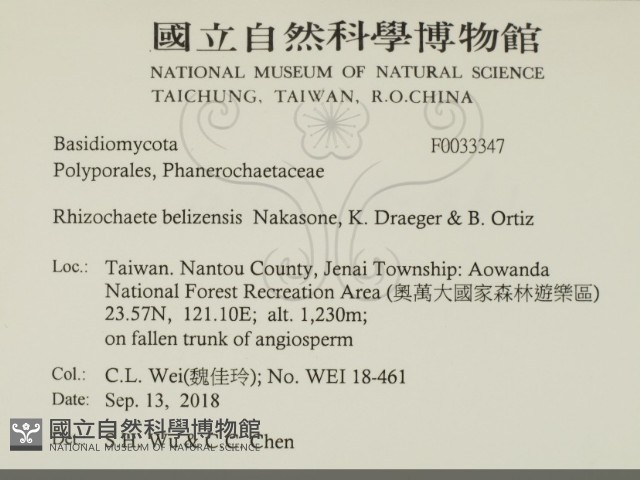 登錄號:F0033347藏品圖，第2張