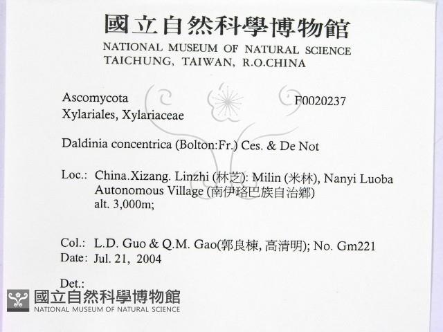 登錄號:F0020237藏品圖，第2張