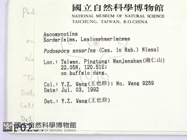 登錄號:F0000237藏品圖，第2張