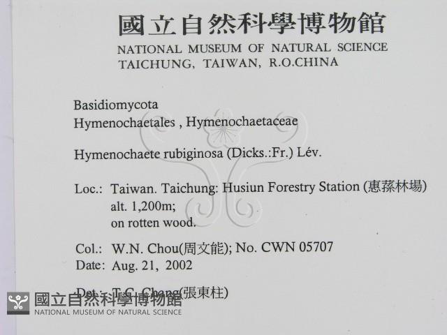 登錄號:F0016237藏品圖，第2張