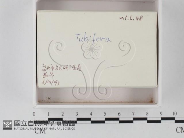 登錄號:F0021237藏品圖，第2張
