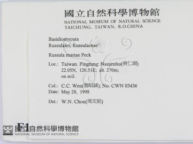 登錄號:F0011237藏品圖，第2張