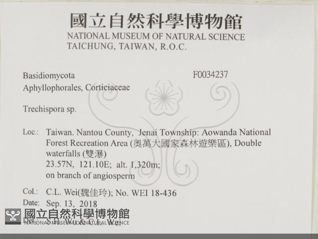 登錄號:F0034237藏品圖，第2張