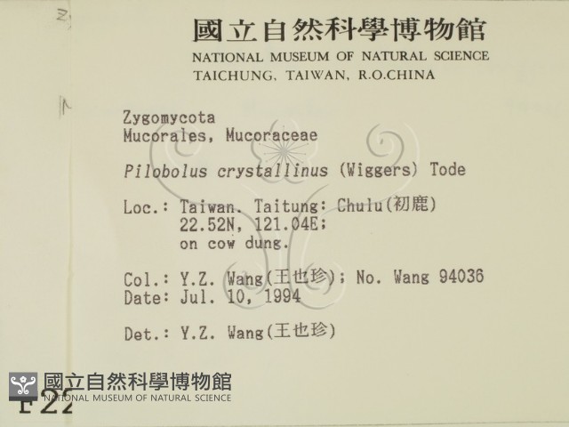 登錄號:F0002237藏品圖，第2張