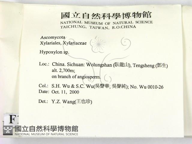 登錄號:F0012237藏品圖，第2張