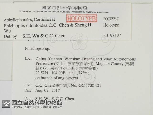 登錄號:F0032237藏品圖，第2張