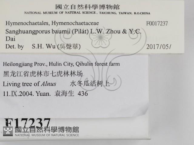 登錄號:F0017237藏品圖，第2張