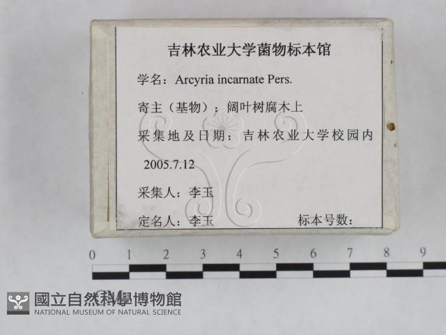 登錄號:F0023237藏品圖，第2張