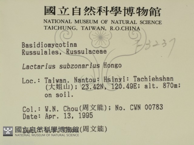 登錄號:F0003237藏品圖，第2張